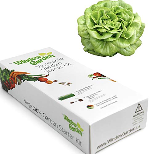 Window Garden - Vegetable Starter Kit - Grow Your Own Food. Germinate Seeds on Your Windowsill Then Move to a Patio Planter or Vegetable Patch. Mini Greenhouse System - Easy. (Buttercrunch Lettuce)