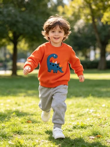 Image of AIWUHE Toddler Cotton Sweatshirt Boys Girls Pullover Long Sleeve Tops 2-6Y | Tops Blouse, Cotton T-Shirt, Fall Winter Clothes