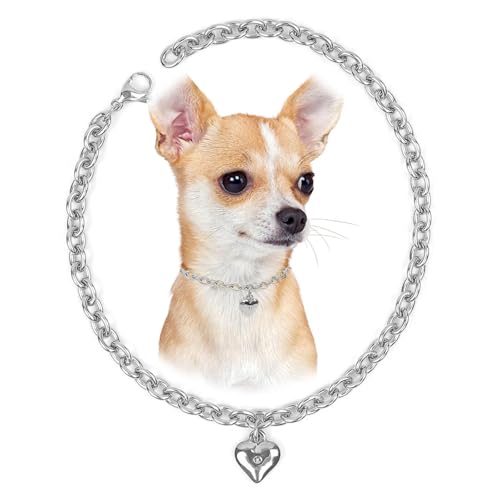 Image of HOWWFALY Dog Collar and Cat Chain Necklace Stainless Steel Adjustable 18K Sliver Heart-Shaped Necklace for Small Pets Cats Kitten Puppy (Sliver, 10 inch)