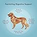 Pet Vet Flavored Activated Charcoal Gel for Dogs & Cats (60ml Bottle), Dog First Aid Activated Charcoal, Absorbs Toxins, Supports Poisoning, Diarrhea & Gas Relief, Emergency Pet Dog Supplies (Beef)