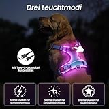 DAISTERN von BSWAY LED Hundegeschirr Größe S mit Griff, Aufladbares Leuchtendes Hundegeschirr, Brustgeschirre Hunde mit 3 Blinkmodi, Reflektierende Streifen für kleine und Mittelgroße Hunde