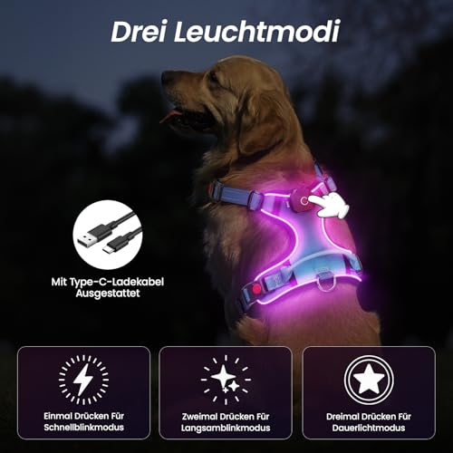 DAISTERN von BSWAY LED Hundegeschirr Größe S mit Griff, Aufladbares Leuchtendes Hundegeschirr, Brustgeschirre Hunde mit 3 Blinkmodi, Reflektierende Streifen für kleine und Mittelgroße Hunde