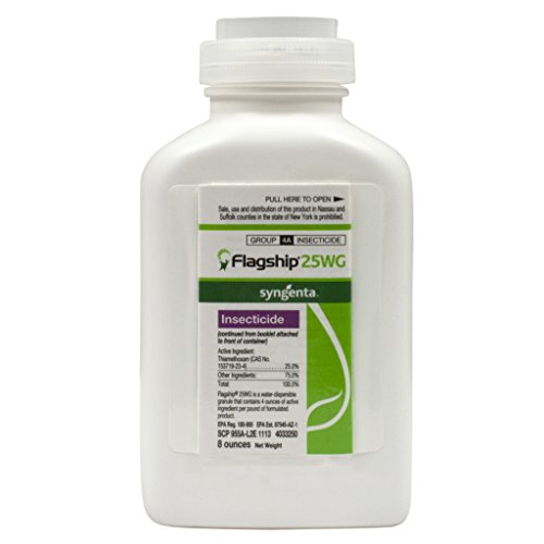 Flagship 25 WG-8 oz 6666271