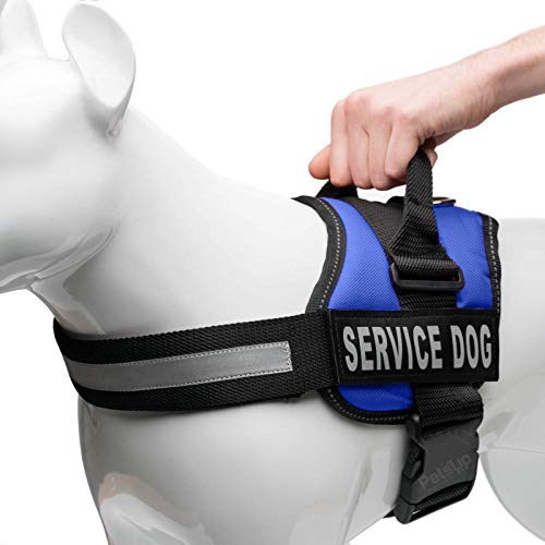 Image of PetsUp Service Dog Harness, Chest Body Belt for Dogs ((60-69 CM Chest Girth), Blue)