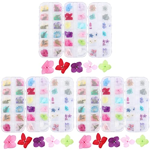 SEWACC 9 Caixas De Sabão Em Flocos Cosmético Brilho Olhos Flores Arte Para Kit Fazer Vela Manicure M