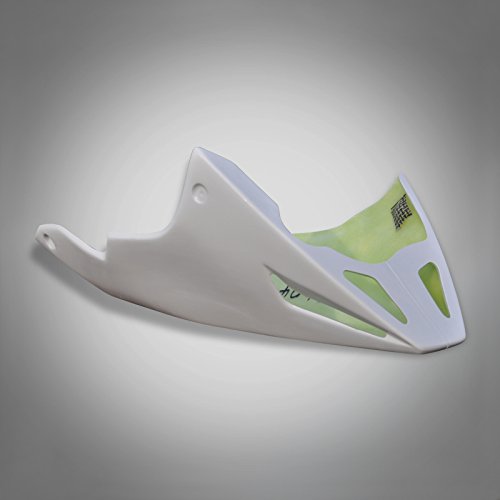 DR404 RicambiWeiss Bugspoiler Bugverkleidung GFK kompatibel mit Suzuki SV 650 SV 1000