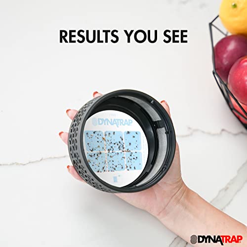 Dynatrap Dt152 Indoor Insect Trap And Killer – Catches And Kills Fruit Flies, Gnats, Moths, Mosquitoes & Other Flying Insects #TOP7