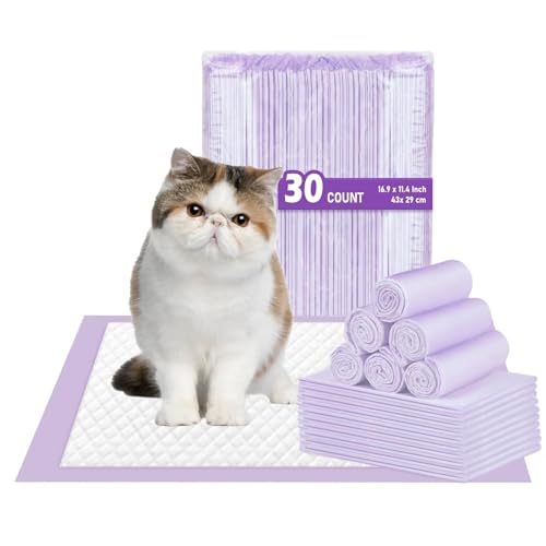 Breeze Cat Pads The 15 best products compared Wild Explained