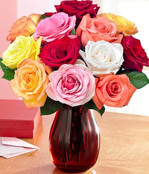Amazon.com : One Dozen Assorted Roses : Rose Flowers : Everything Else