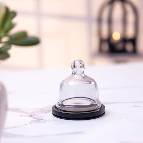 Image of Dusk Acacia Wood Cake Stand with Glass Dome, Black Finish | Perfect for Pastries, Desserts, Donut Cake, Cupcakes & Cookies