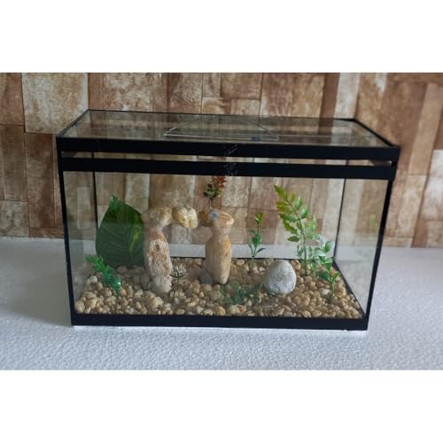 Aquário Beteira Retangular Decorada 8 Litros (até a borda) Peixe Betta ornamentação exclusiva