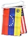 Flagline Spanish Speaking Countries - 30' String Banner