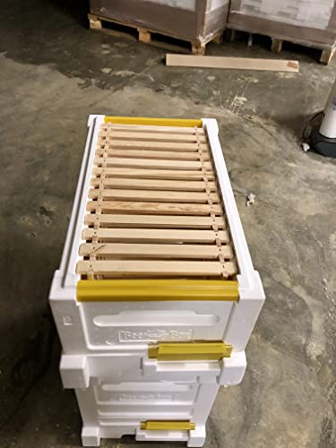 Bienenwagner Paradisehoney NUC&Mate Ablegerkasten Dadant Us Dadant Blatt Langstroth MIni Plus (Zarge Dadant US)
