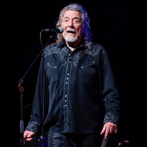 TARDES DE ROCK - ROBERT PLANT SOBRE EL METAL