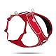Belka Harness Adjustable Neck Red 3XL