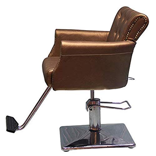 Beauty Style Styling Barber Chair Hair Beauty Salon Equipment Gold-Style 3