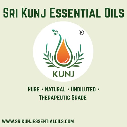 Image of KUNJ Kukui Nut Oil (Aleurites moluccanus) 30ML - 100% Pure & Natural, Cold Pressed, Undiluted - Therapeutic Grade Carrier Oil for Skin Care, Hair Nourishment & Hydration