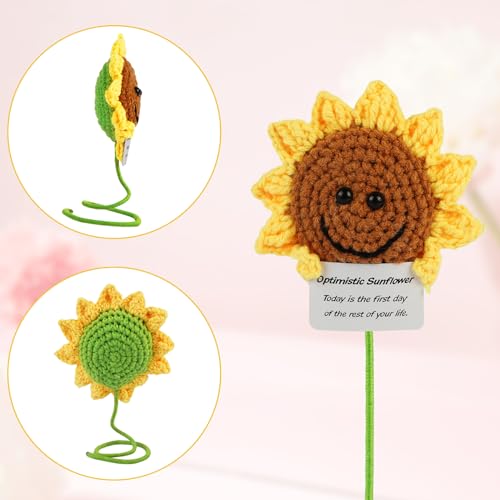 Image of Hoedia Handmade Emotional Pickle Gift, Cucumber Crochet Doll Inspirational Gifts with Cards, Cute Knitted Funny Support Pickle Potato Friend Birthday (Sunflower)