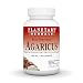 Planetary Herbals Agaricus Extract Full Spectrum 500 Mg, 90 Count