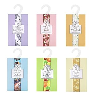 6 Sachets with Hanging Sachets Aromatherapy Fragrance Sachet Bags Wardrobe Fresheners for Drawer Wardrobe Room (Jasmine, Rose, Lavender, Lily, Ocean, Lemon)