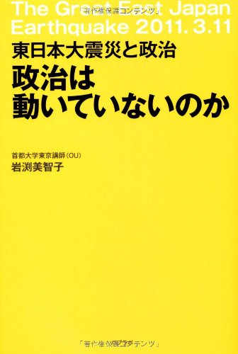 政治は動いていないのか―東日本大震災と政治のサムネイル