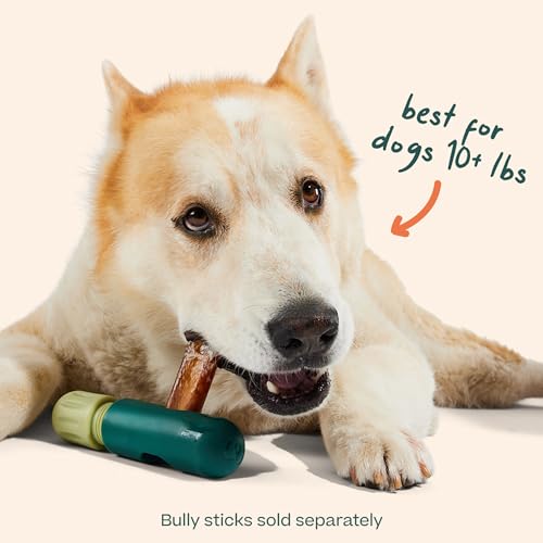 WOOF BullySafe - Bully Stick Halter - Robuster Hundekauhalter für sicheres, langlebiges Spielen - Leicht zu reinigen - Keine Verschluckten Enden mehr