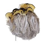  URFEDA Plumas de Faisán, 100 plumas naturales de Faisan, plumas de gallo, artesanales, plumas, bricolaje, manualidades, manualidades, manualidades, decoración, disfraces