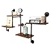 N / A LINLINZ Mensole da Muro Parete Industriale Scaffali Galleggianti, Scaffalature Scaletta Ripiani Espositori, Montaggio Parete Libreria Scaffale, 4 Ripiani (Color : Walnut Color)