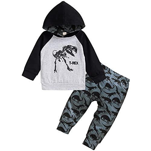 Image of HINTINA Baby Boys Dinosaur Long Sleeve Hoodie Tops Sweatsuit Pants Winter Outfit Set