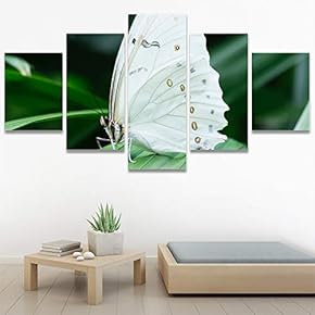 SIGNWIN 5 Panel Canvas Wall Art Birds Butterfly...