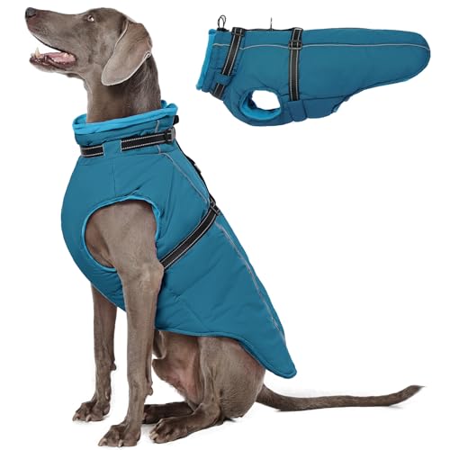 Lelepet Hundemantel für den Winter, Warme Hundejacke mit integriertem Geschirr, Winddicht Mantel mit Fleece Gefüttert für Hunde, Reflektierende Hundeweste für Kaltes Wetter, Blau XL