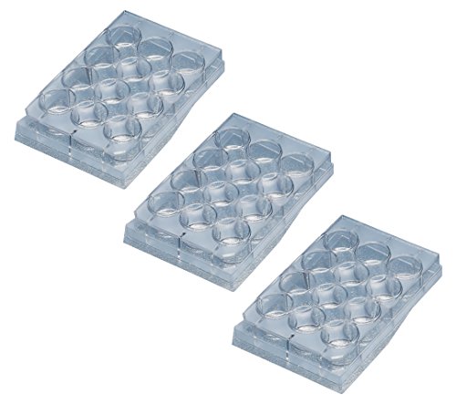 t@R ZJ`[v[g }`EFv[gEt^t 12EF