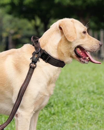 Joytale Taktisches Hundehalsband mit Griff Halsband Hund 3.8 cm Breit Hundehalsband für Große Hunde Verstellbar aus Nylon, Braun, L