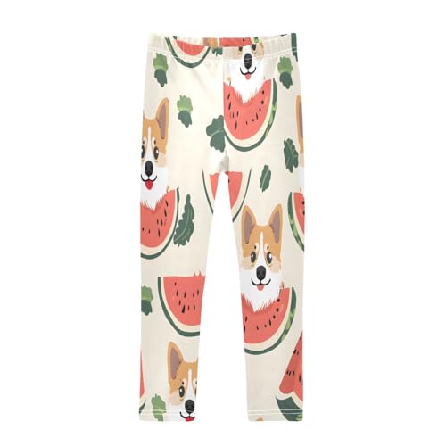 Toddler Girls Leggings Printed Yoga Pants Leggings Corgi Watermelon for Kids