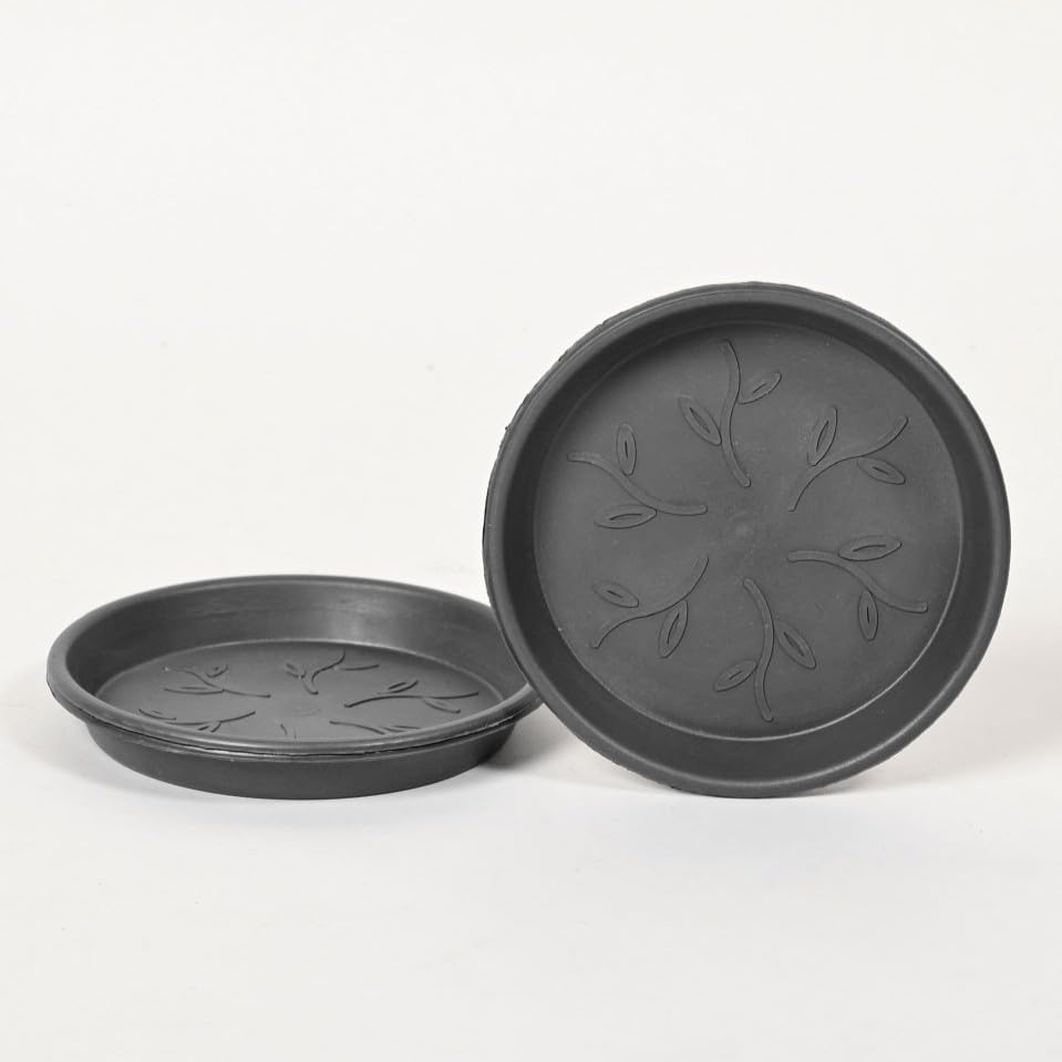 Ugaoo UV Treated Gardening Plastic Tray (Plate/Saucer) for Pots - 6 inch, Black Color, Set of 3 | Tray for Plants Pot for Indoor Home Decor & Outdoor Garden & Balcony