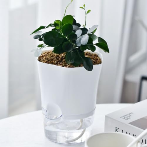 Pot de fleurs auto-irrigant grand modèle avec cordon d'absorption pour succulentes