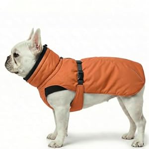 Dog Winter Coat, Warm Puffer Jacket with Fur-Safe Buckle & Leash Hole for Cold Weather, Water-Repellent Snow Vest, Breathable Thermal Apparel for Hiking & Active Dogs (Aurantium, Small)