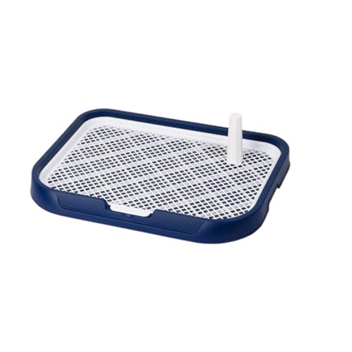  gC  gCg[ Ch ی|ȒP ybggC g[jOgC bVg bVg[ gCg[ юUh~ǃv[gt gCg[ pgC{bNX/O ^ ^ (CR)