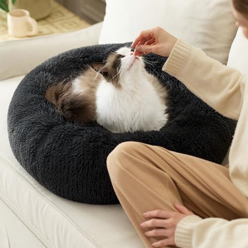 BEDSURE Hundebett waschbar Flauschiges Katzenbett - Ø 50 cm Donut Kissen, Katzenschlafplatz für Katzen Kleine Mittelgroße Hunde, Plüsch Katzenkissen Rund Kuschelbett Katzen Bettchen, Dunkelgrau