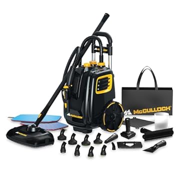 best steam cleaner for car interior