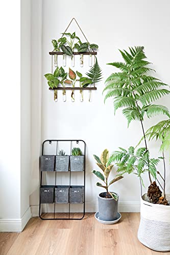 Mkono Plant Propagation Tubes, 2 Tiered Wall Hanging Plant Terrarium With Wooden Stand Mini Test Tube Flower Vase Glass Planter For Hydroponic Plant Cutting Home Garden Office Decor Plant Lover Gift #TOP4