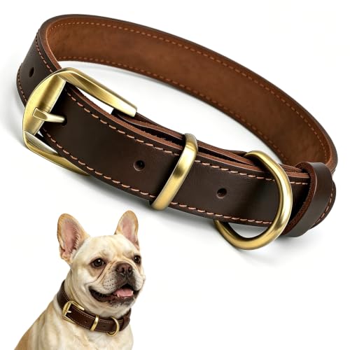 Qianruida Collare per Cane in Pelle Collari Cuoio Genuino Regolabile per Cani di Piccola Taglia Media Taglia Grande ed Extra Grande - M