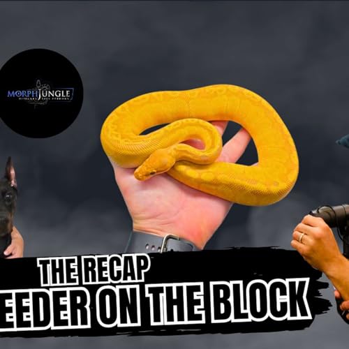 『Ultramel & Sunset Taking Names | New Breeder On The Block Live』のカバーアート