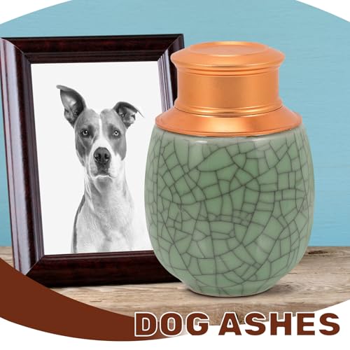 Urne funéraire céramique pour chat et chien personnalisable style rétro - 5