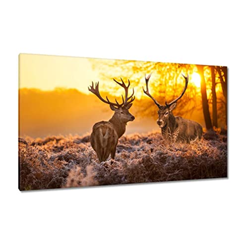 Tableau sur toile 120x70cm deux cerfs lever de soleil impression haute définition H786M