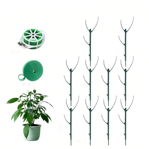 Xe x | ϗtA x  ϗtA Lh~ pL |gX ׂ WCg Œ  } ߉\ ςݏdˉ\ K[fjO   oR┫Ȃɒ̃Xe[Ngp܂