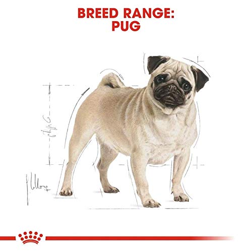 Royal Canin Mops, 7,5 kg