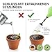Ballbrause Anzucht 224ml - Schonende Ballonbrause ideal für Bonsai, empfindliche Pflanzen und Stecklinge - Made in Germany