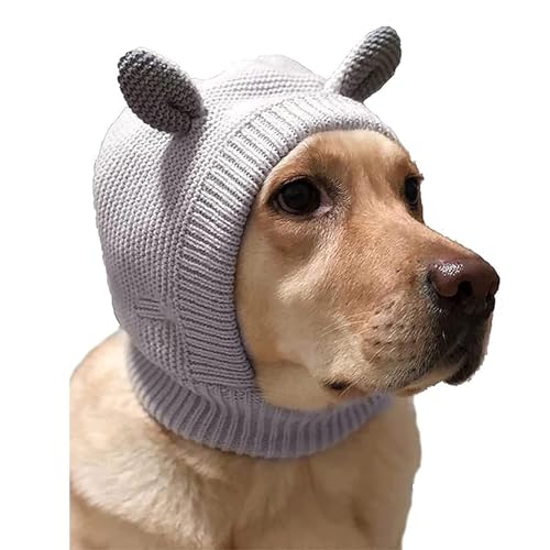 IUOUTG 킢̒gjbgXqAṼybg̎̂߂̌̎Jo[Xq͒^̑傫ybg̑ی̂߂̂҂݂܂