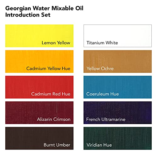 Daler-Rowney Georgian 20ml Water Mixable Oil Paint Introduction Set, 10 Assorted Colours, For Professional Artists & Students